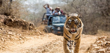 JIm-Corbett-with-Nainital