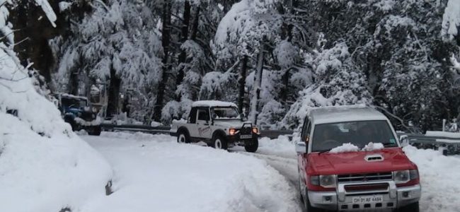 SHIMLA KULLU MANALI CAR TOUR1