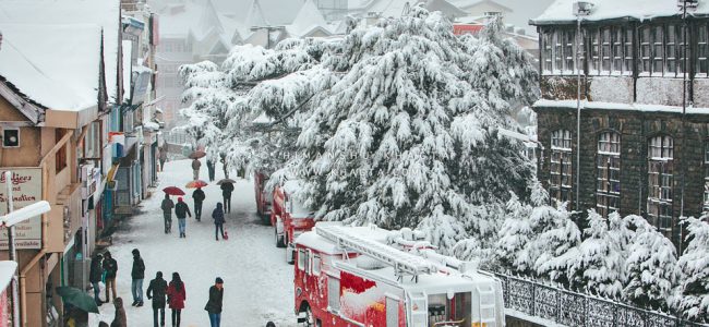 SHIMLA MANALI WITH CHANDIGARH2