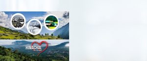custom-header-bg-2